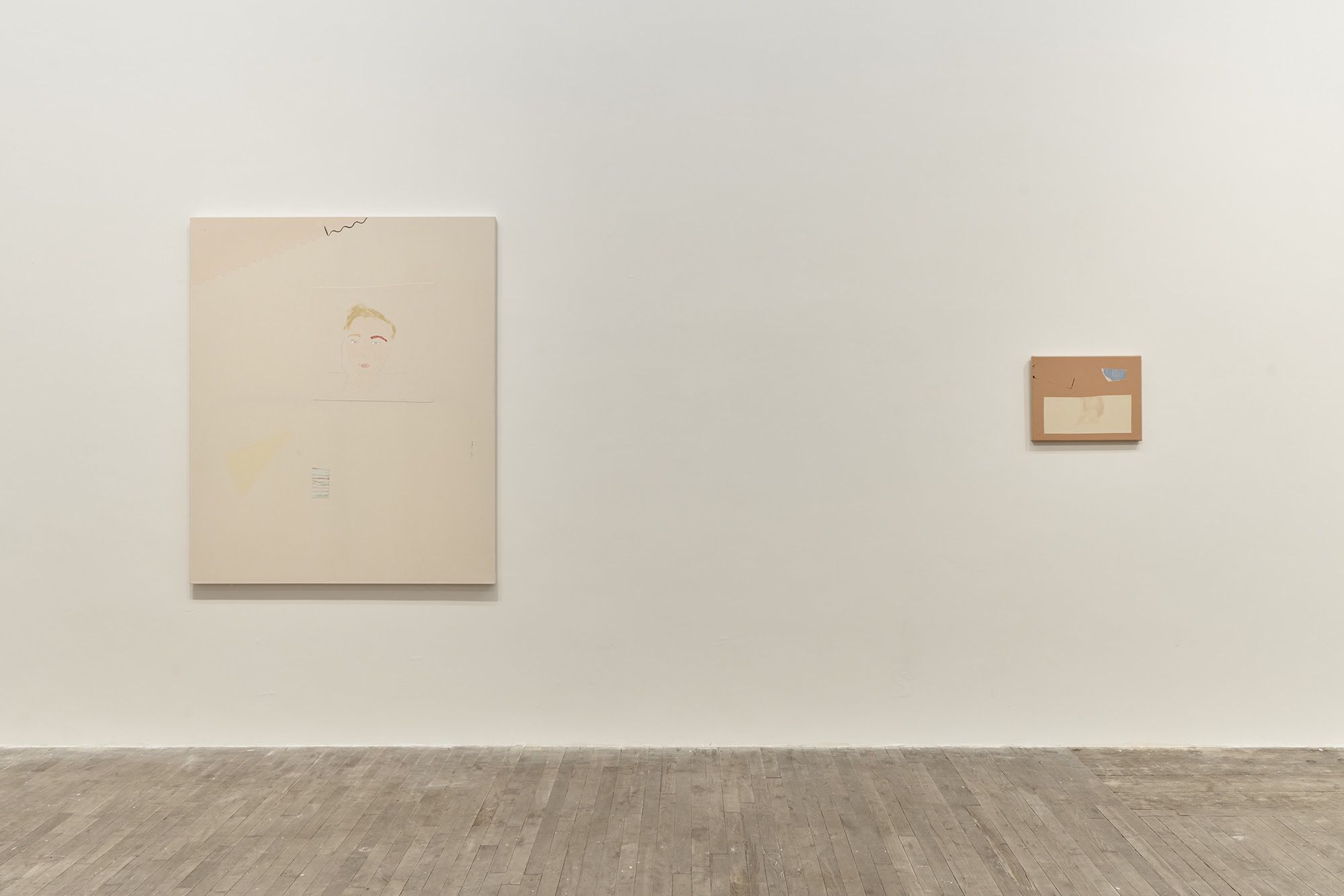 Sofia Silva, Spoiled by Freud at Andrew Kreps, photo 2