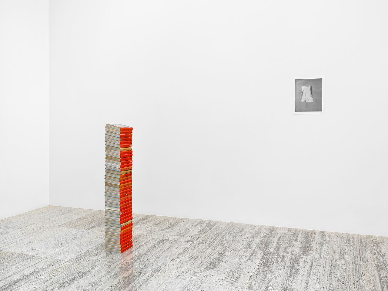 Zoe Leonard, In the Wake at Hauser & Wirth, photo 9