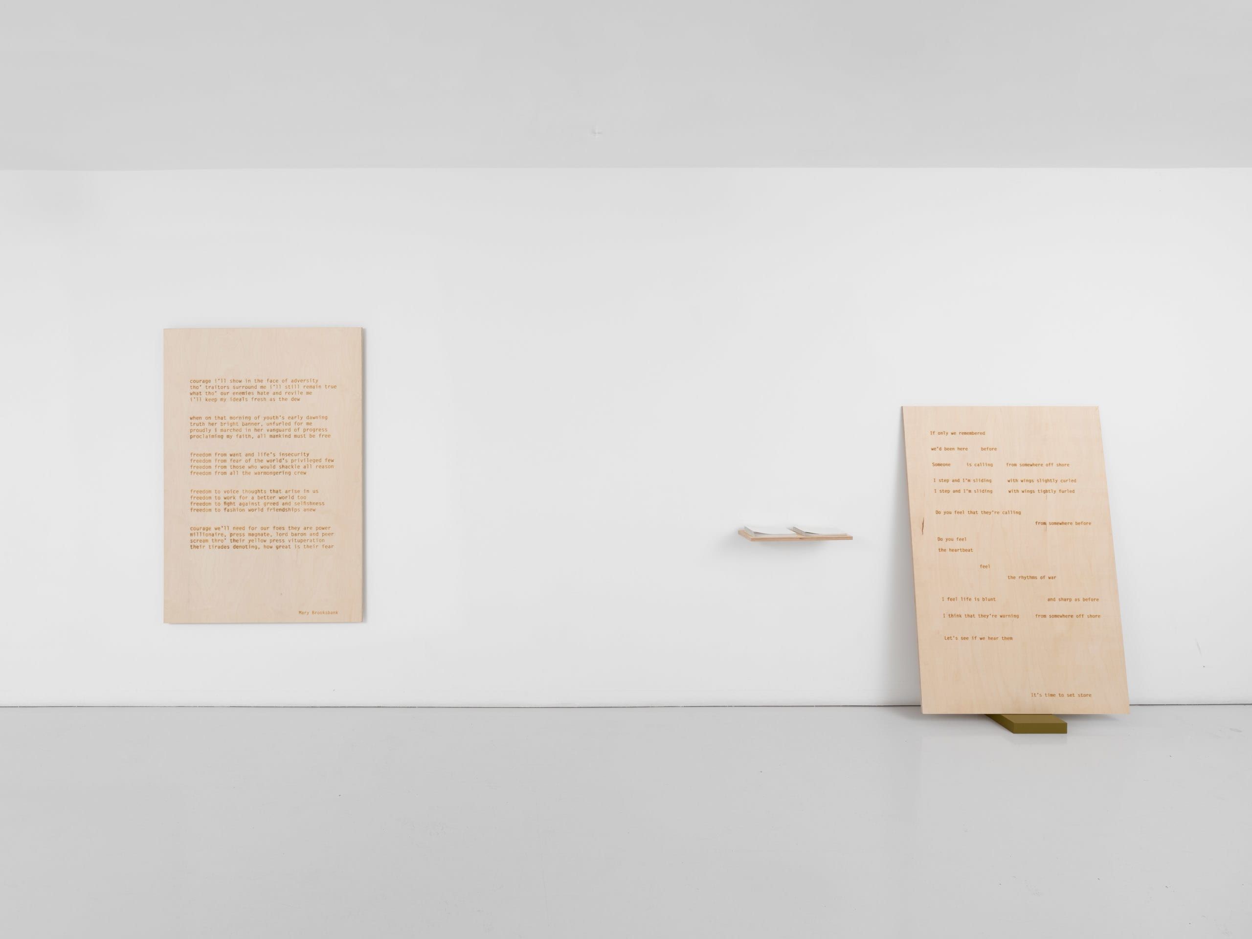 Helen Cammock, Pelicans Dive at Half Light at Kate MacGarry, photo 6