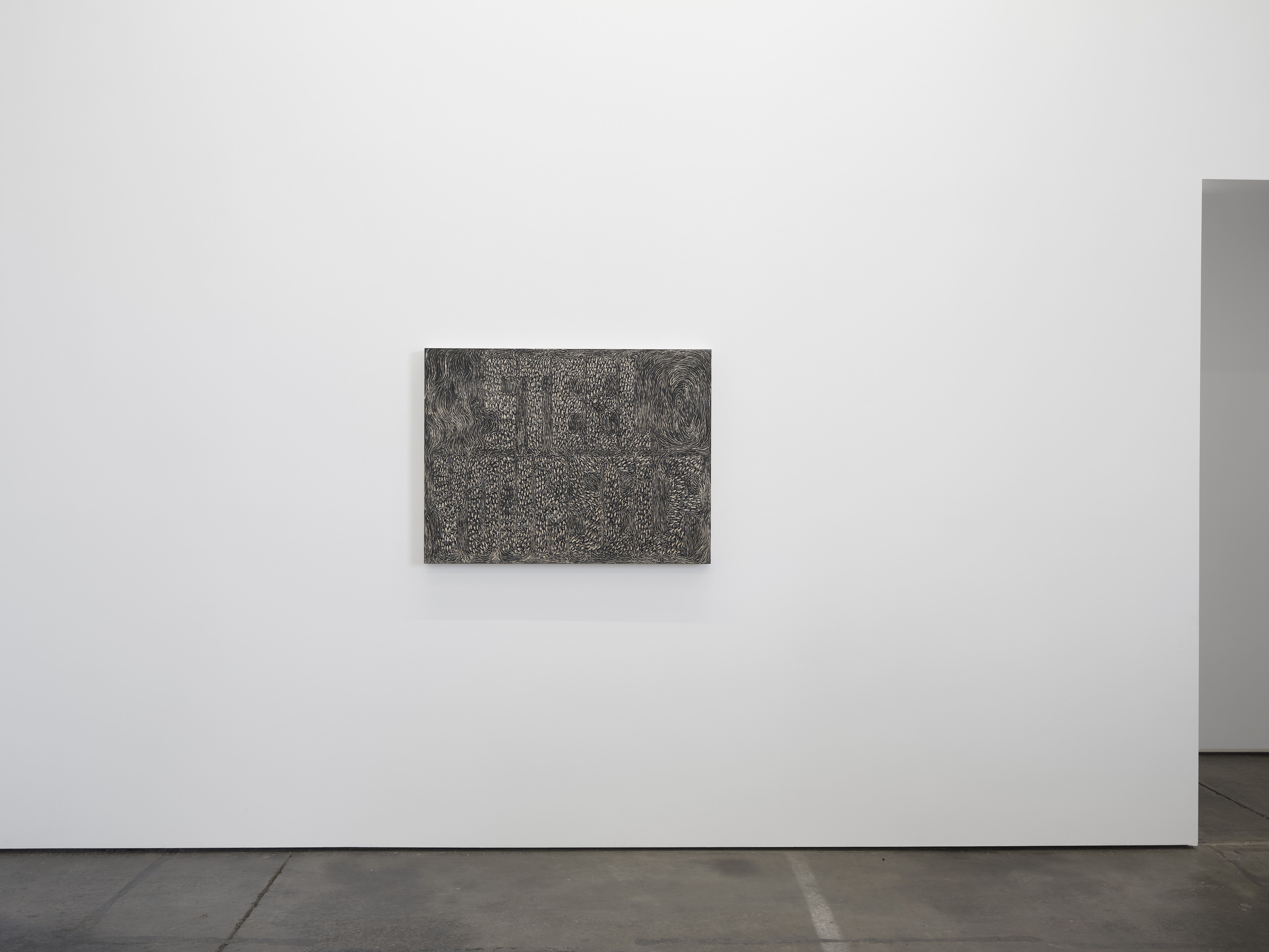 Didier William, Beyond the Bodies’ Edge at Altman Siegel, photo 10