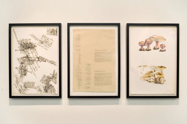 John Cage, Artist and Naturalist at The Horticultural Society, photo 3