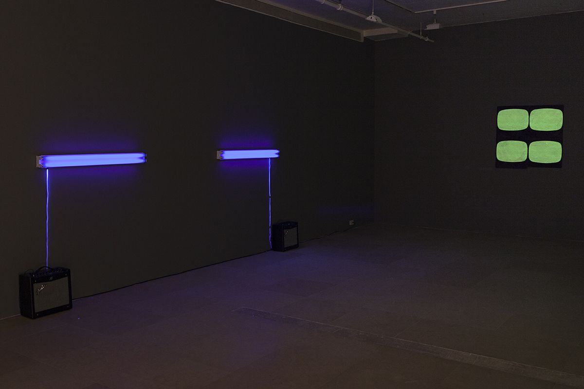 Tony Conrad, Undone at Greene Naftali, photo 4