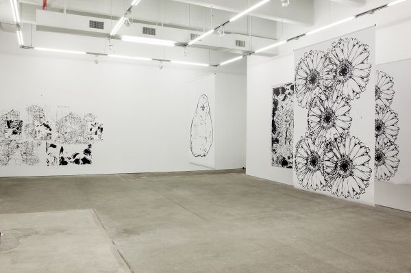 Stéphane Calais, Stéphane Calais at Zieher Smith & Horton, photo 2