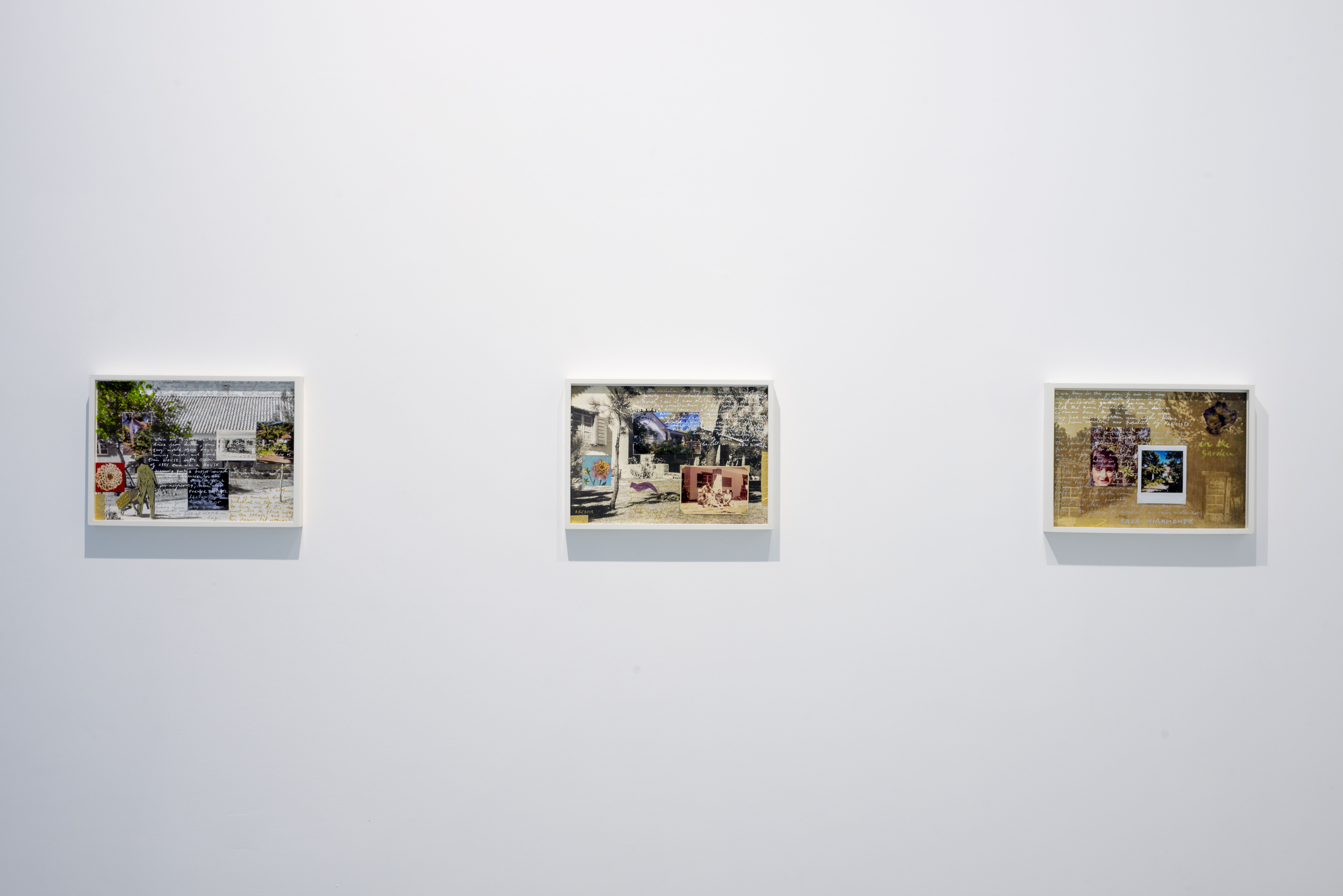 Daniel Blaufuks, image 3 of 6