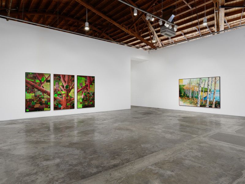 Ross Caliendo, Peace Fellow at Night Gallery, photo 3