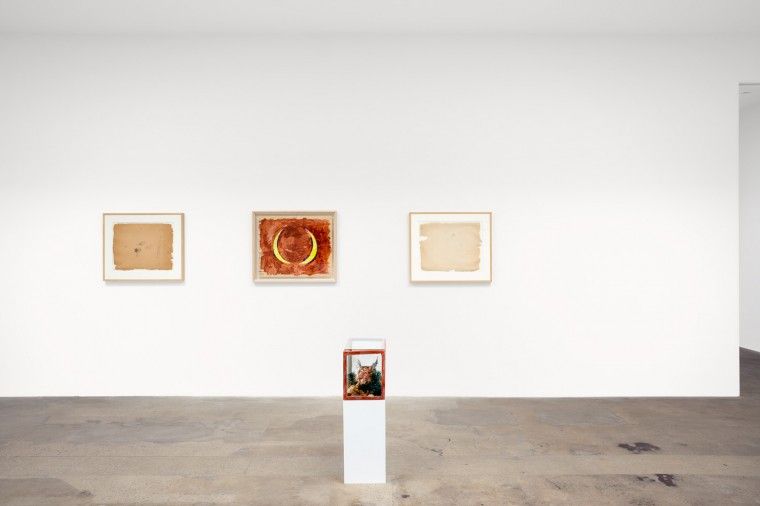 Paul Thek, Paul Thek at Hannah Hoffman, photo 4