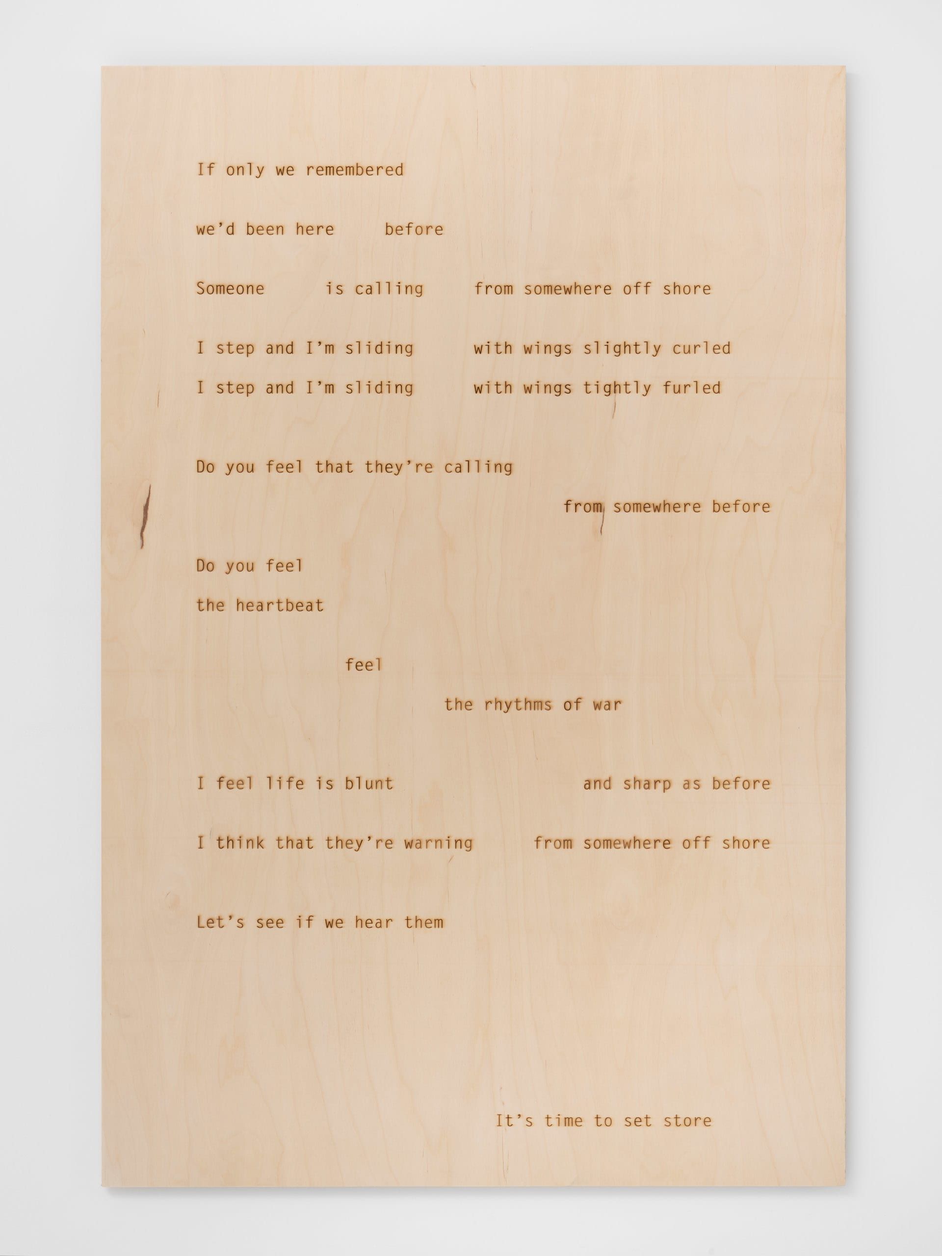 Helen Cammock, Pelicans Dive at Half Light at Kate MacGarry, photo 7
