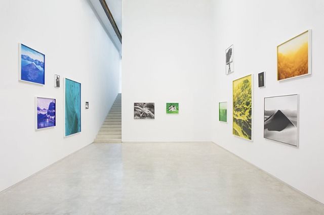 David Benjamin Sherry, Climate Vortex Sutra at Salon 94, photo 4
