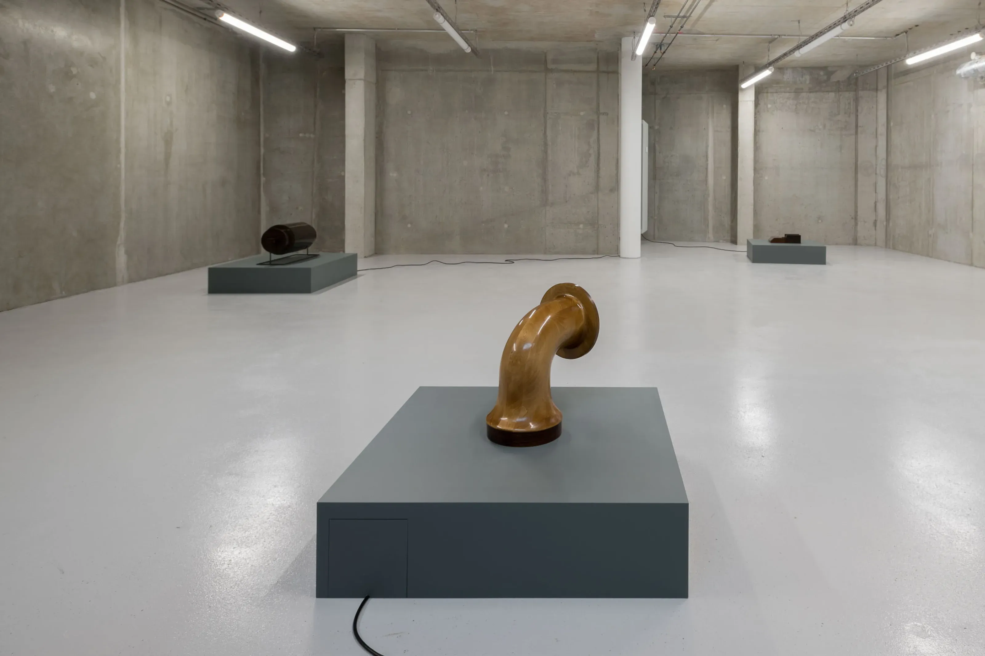 Dora Budor, Old World at Molitor, photo 4
