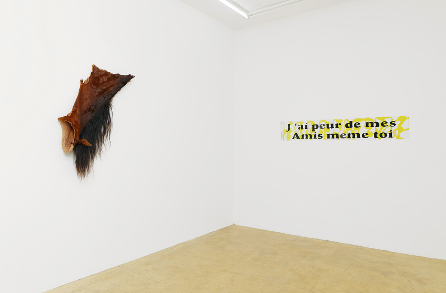 Jean-Marie Perdrix, Mauvaise Graine at Samy Abraham, photo 2