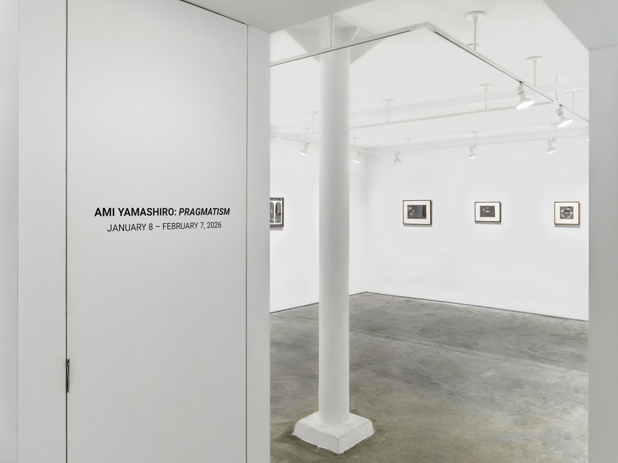 Ami Yamashiro, Pragmatism at Seizan Gallery, photo 5