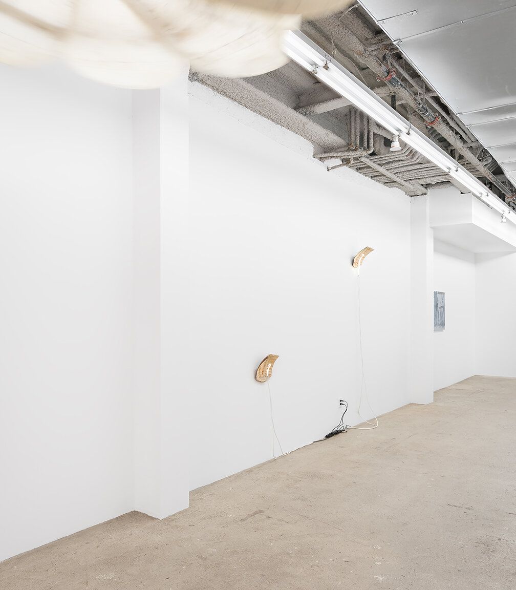 Sean Donovan, Recent Work at M 2 3, photo 2
