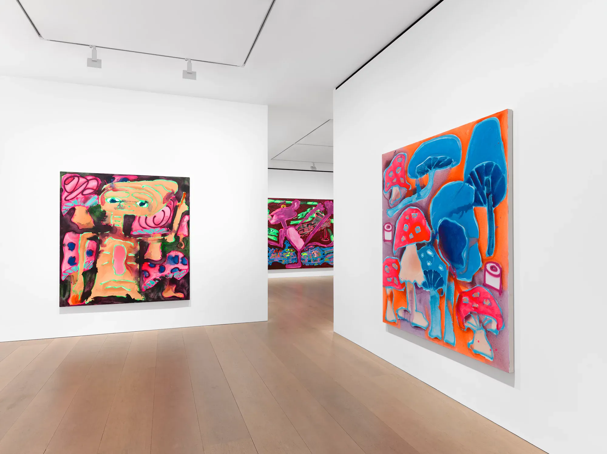 Katherine Bernhardt, Why is a mushroom growing in my shower? at David Zwirner, photo 4
