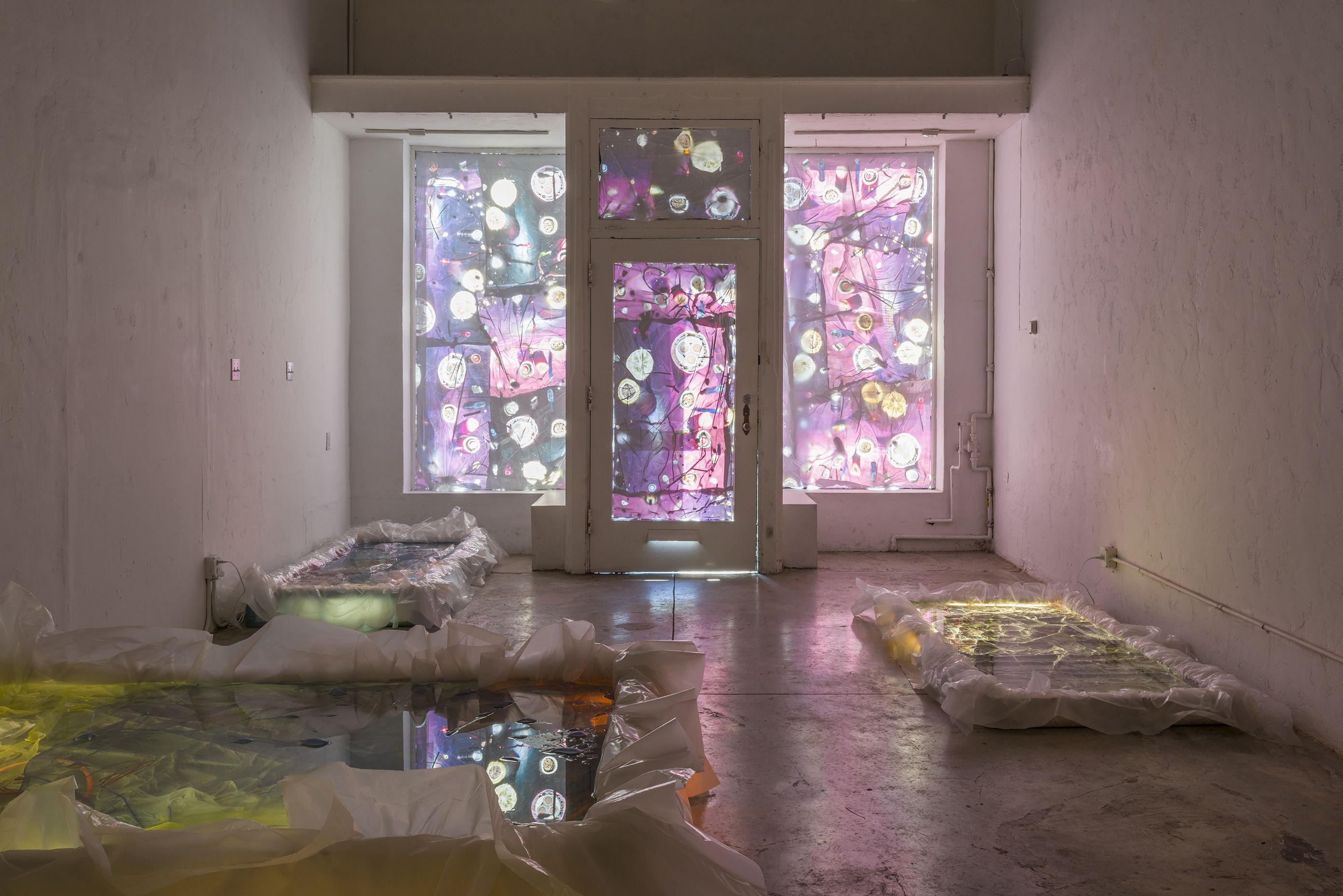 Samara Scott, image 7 of 7