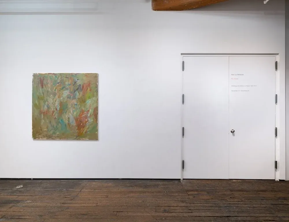 Alix Le Méléder, The Thread: Paintings and Works on Paper 1993-2011 at Zürcher Gallery, photo 5