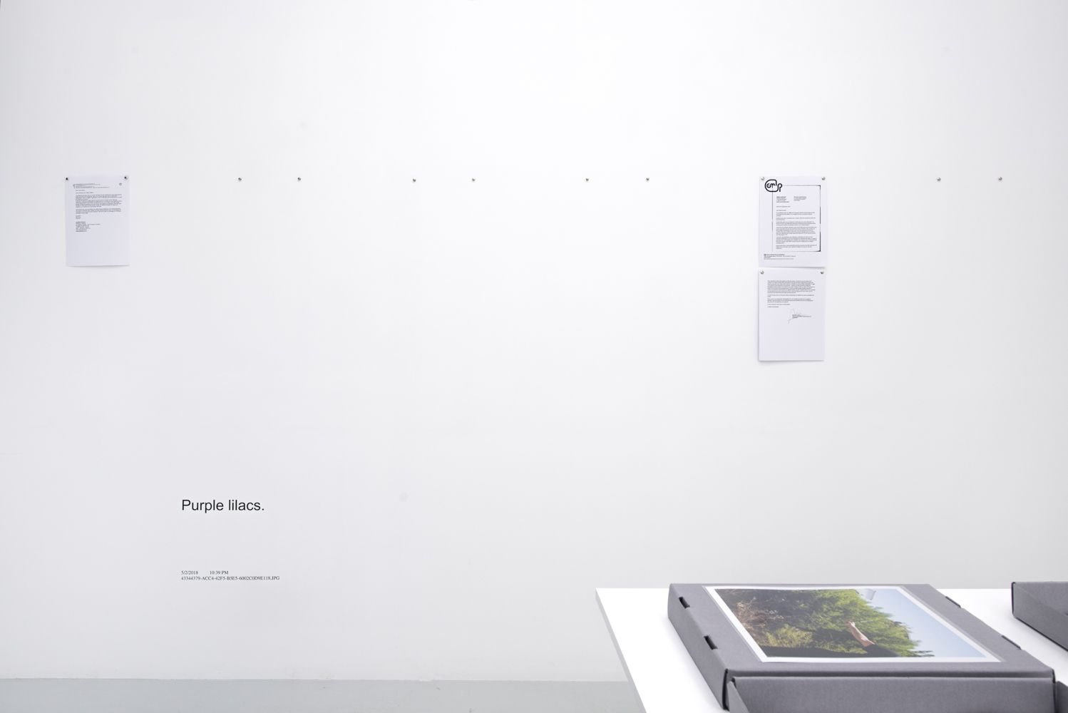 David Horvitz, Avenues All Lined With Trees at Jean-Kenta Gauthier | Vaugirard, photo 7