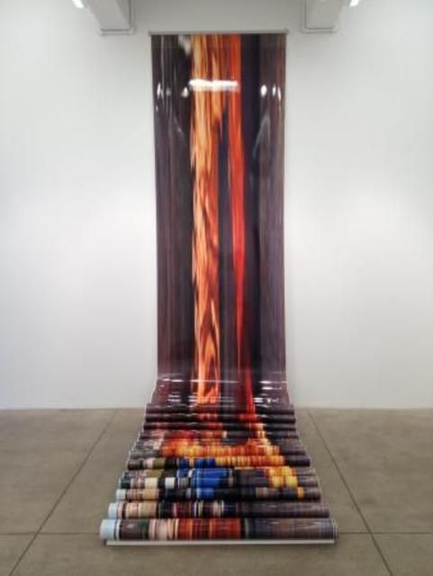 Dinh Q. Lê, Warf, Woof, Zero, One at P.P.O.W, photo 6