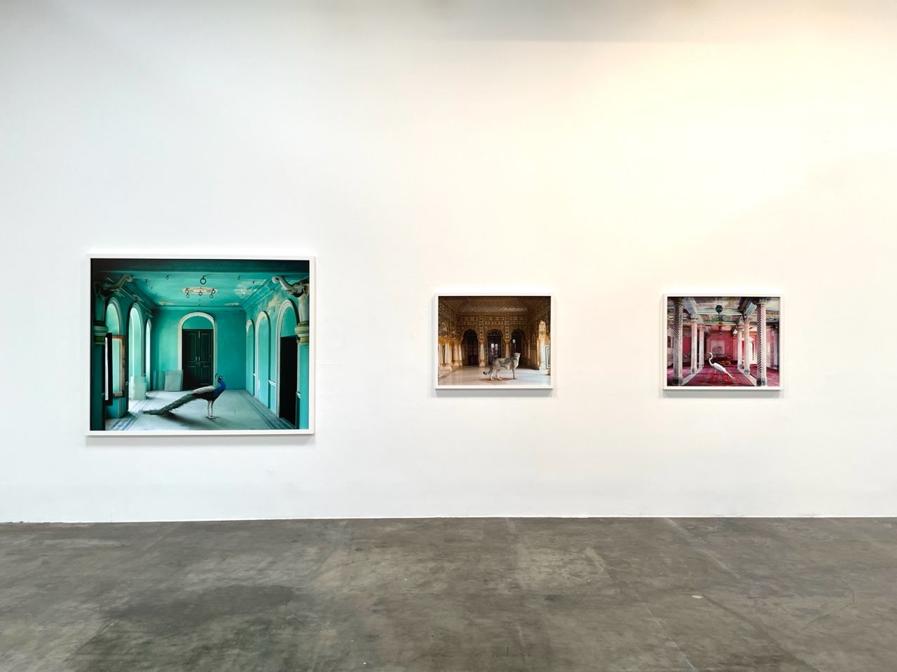 Karen Knorr, India Song at Danziger Gallery, photo 4