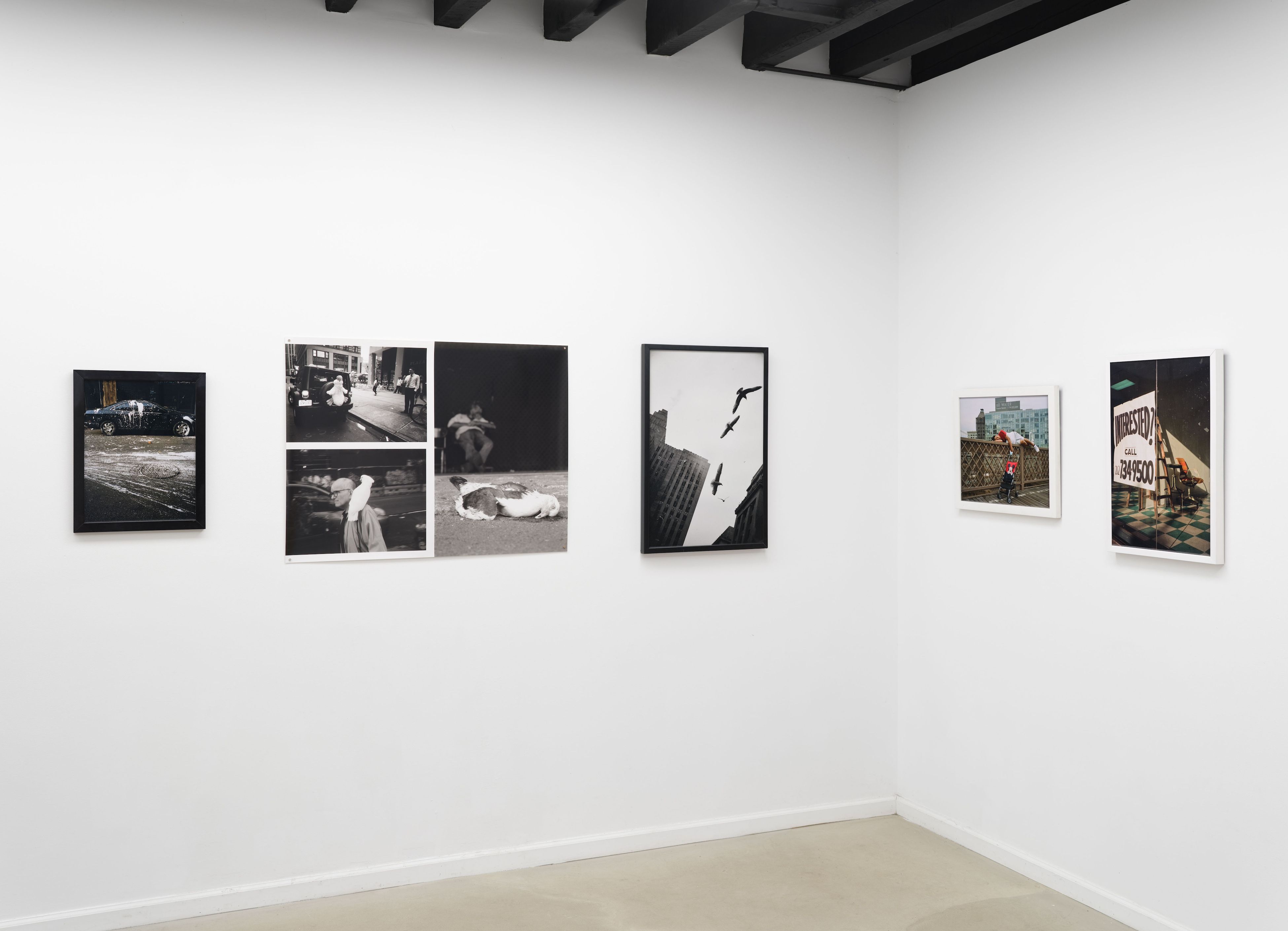 Cheryl Dunn, The Whiles NYC at Long Story Short, photo 7