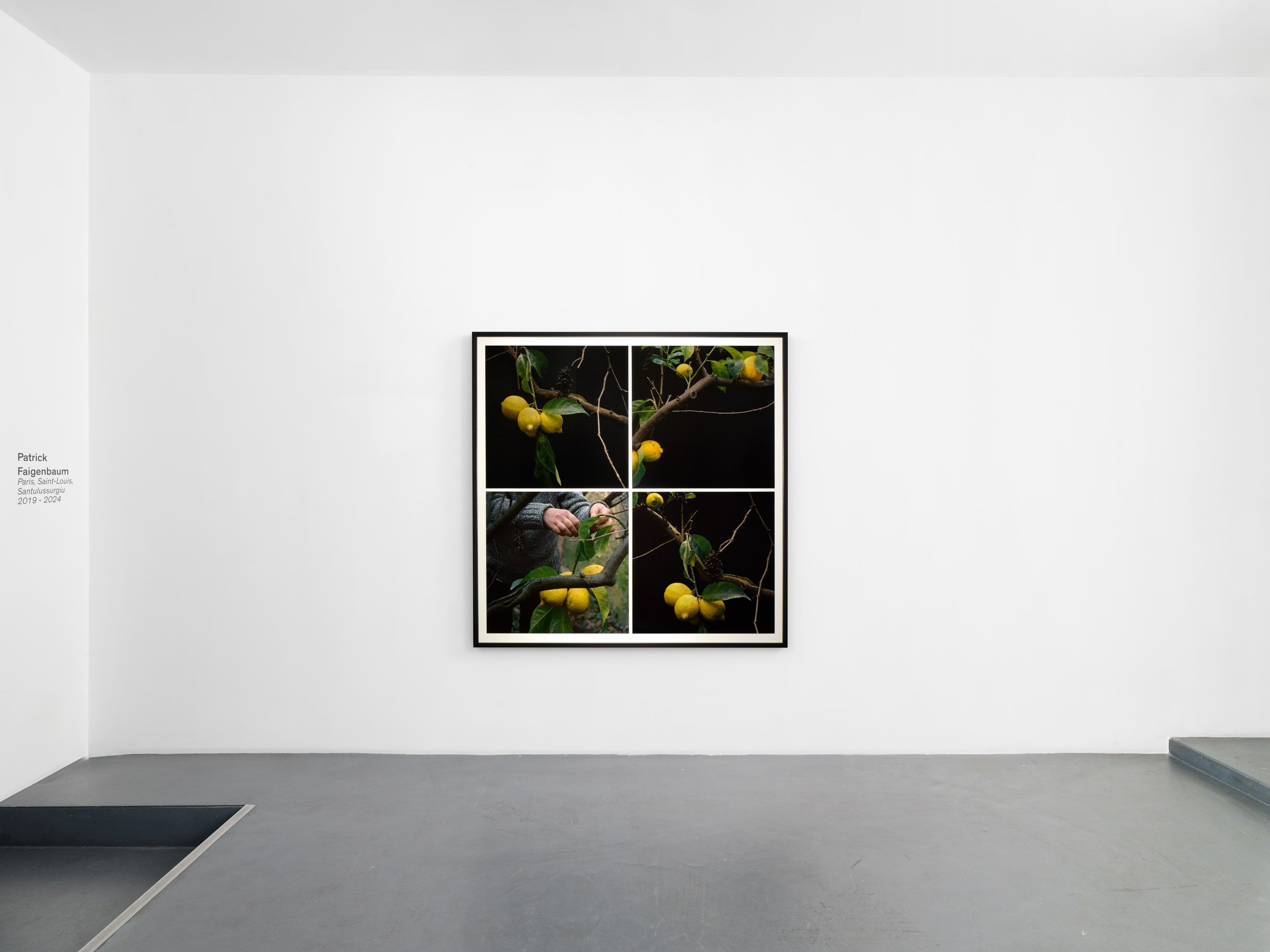 Patrick Faigenbaum, Paris, Saint-Louis, Santulussurgiu, 2019-2024 at Nathalie Obadia, photo 2