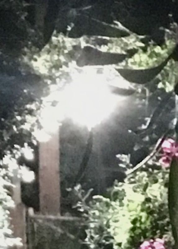 Shooting Blanks, Shooting Blanks at 67 Steps, photo 9