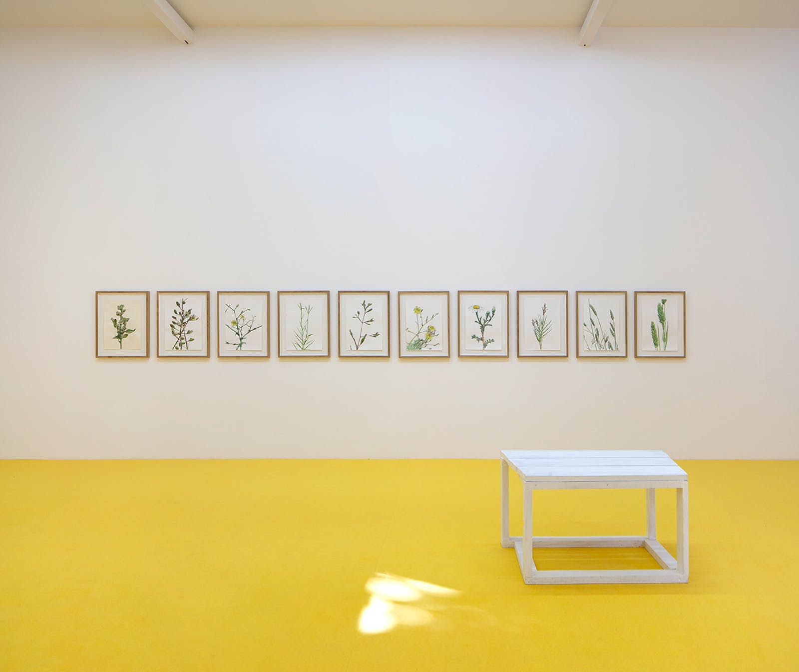 Mohamed Bourouissa, Brutal Family Roots at Mennour, photo 3