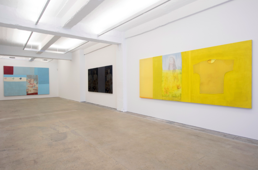 Alexandre da Cunha, Amazons at CRG Gallery, photo 3