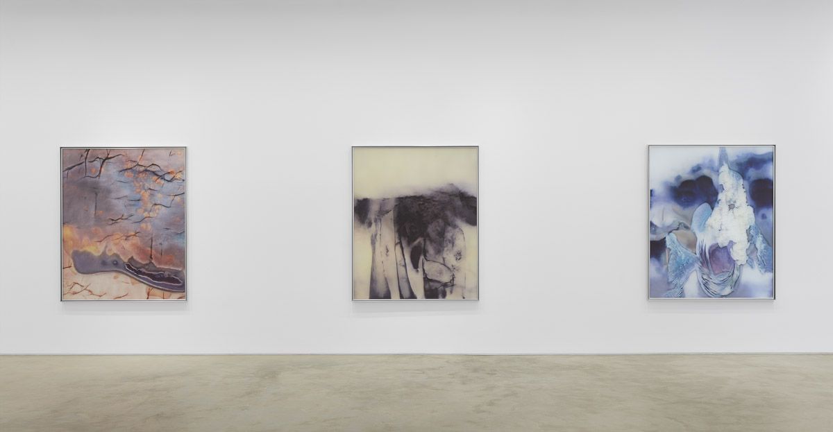 Anicka Yi, ÄLñ§ñ at Gladstone, photo 3