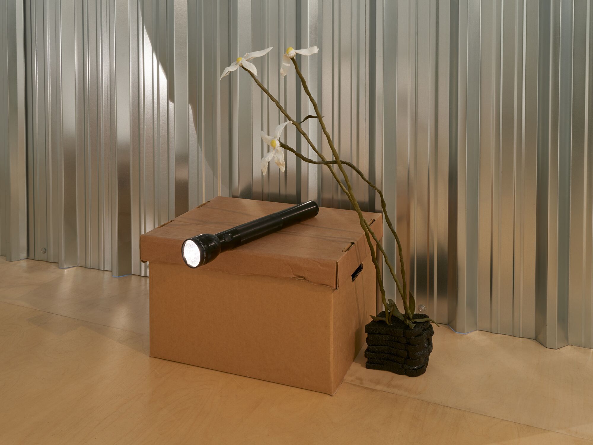 Hamish Pearch, Nights at Soft Opening, photo 4
