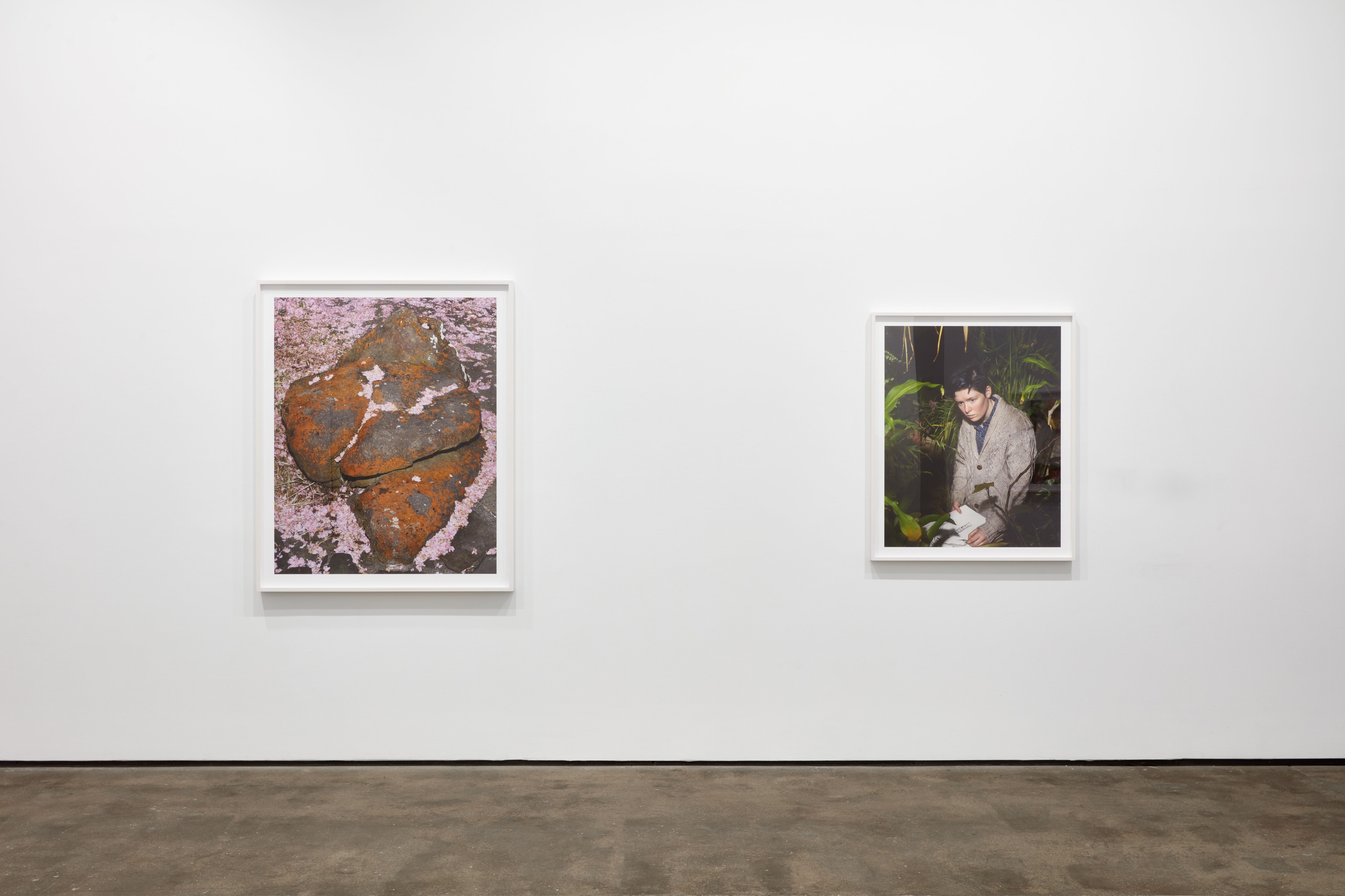 Installation view 8