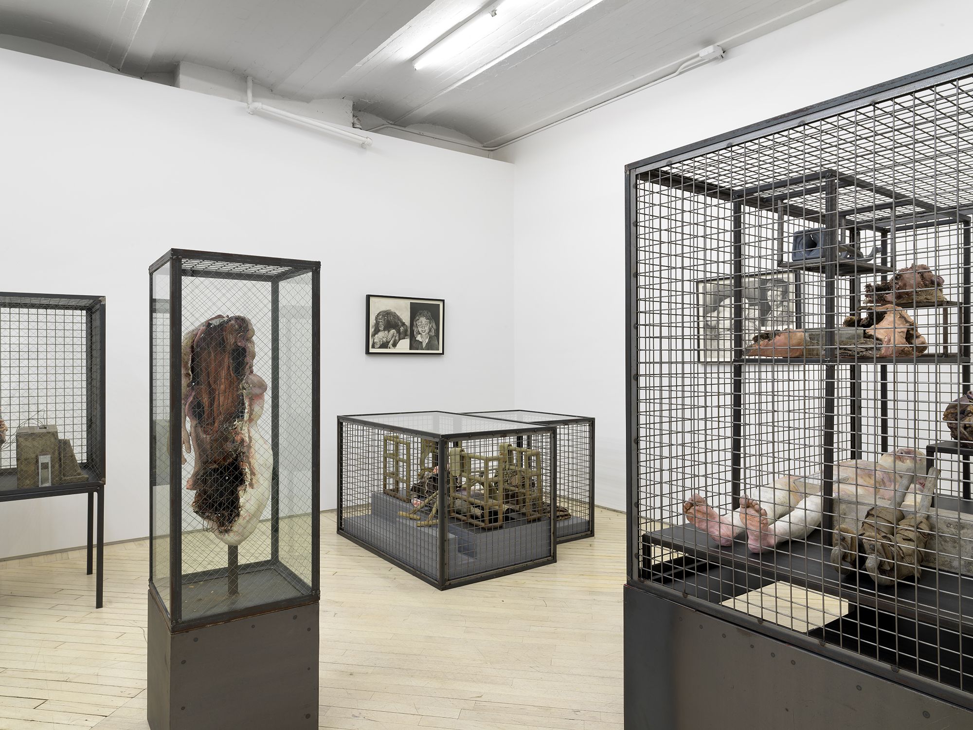 Lionel Maunz, Where the Body Ends at Bureau, photo 2