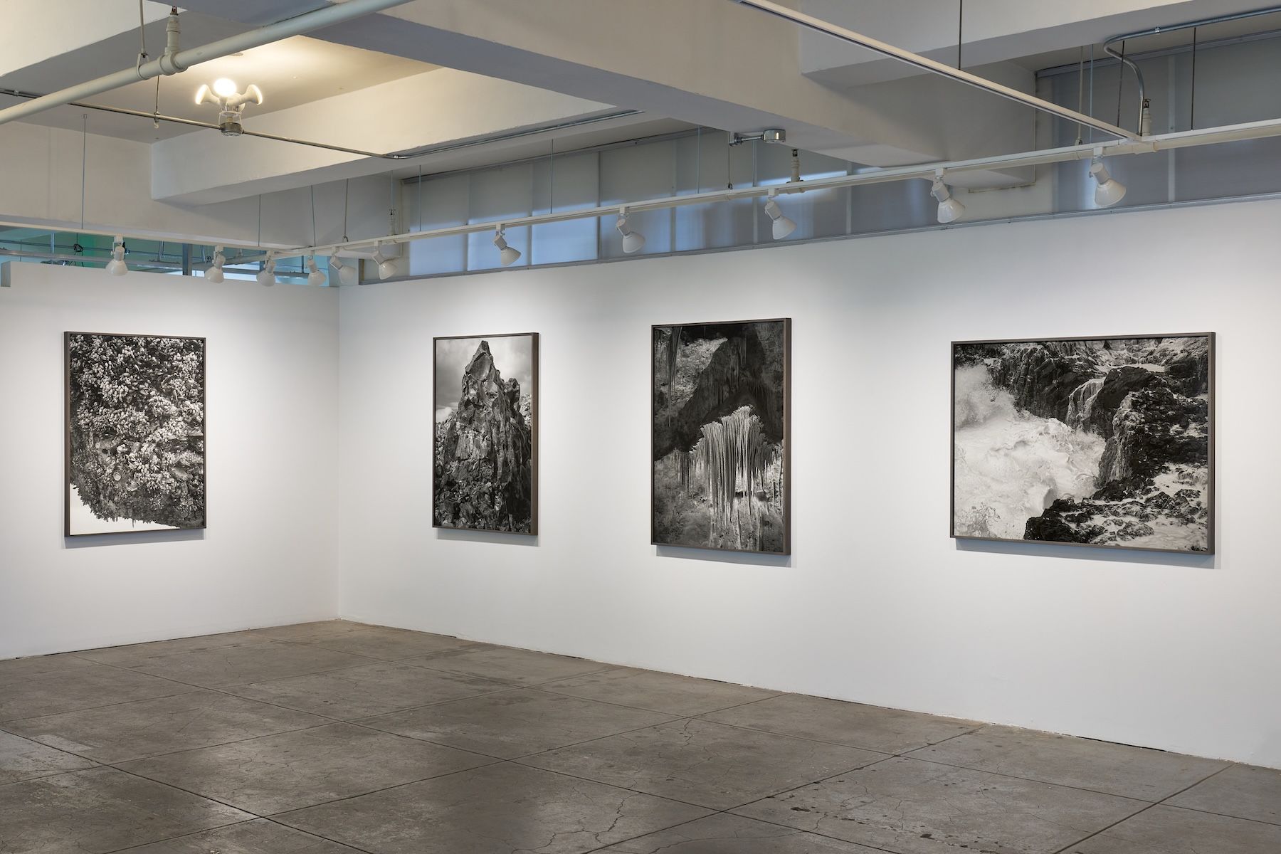 Ron Jude, Low Tide at Gallery Luisotti, photo 8