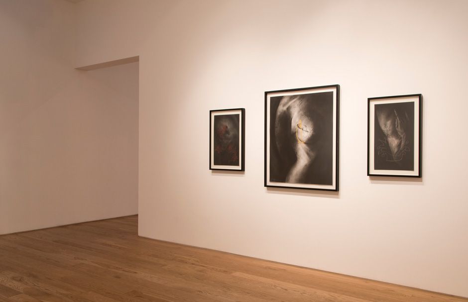Salomón Huerta & Devan Shimoyama, Salomón Huerta & Devan Shimoyama at Samuel Freeman, photo 6