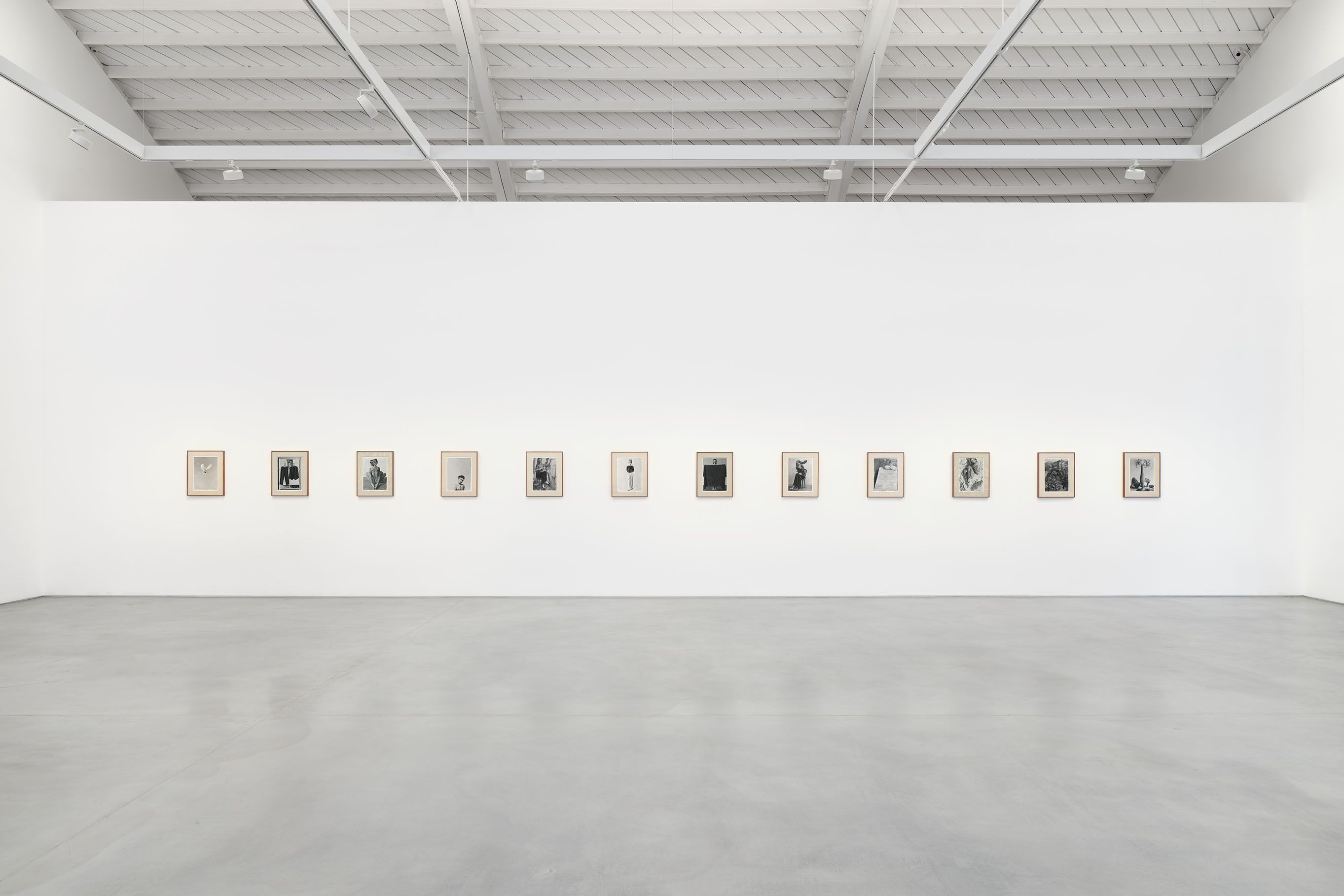 Lenz Geerk, Schwarzweiß at Roberts Projects, photo 7