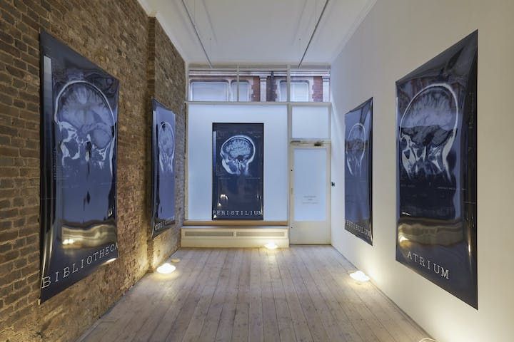 Vivian Lynn, Spin at Phillida Reid, photo 8