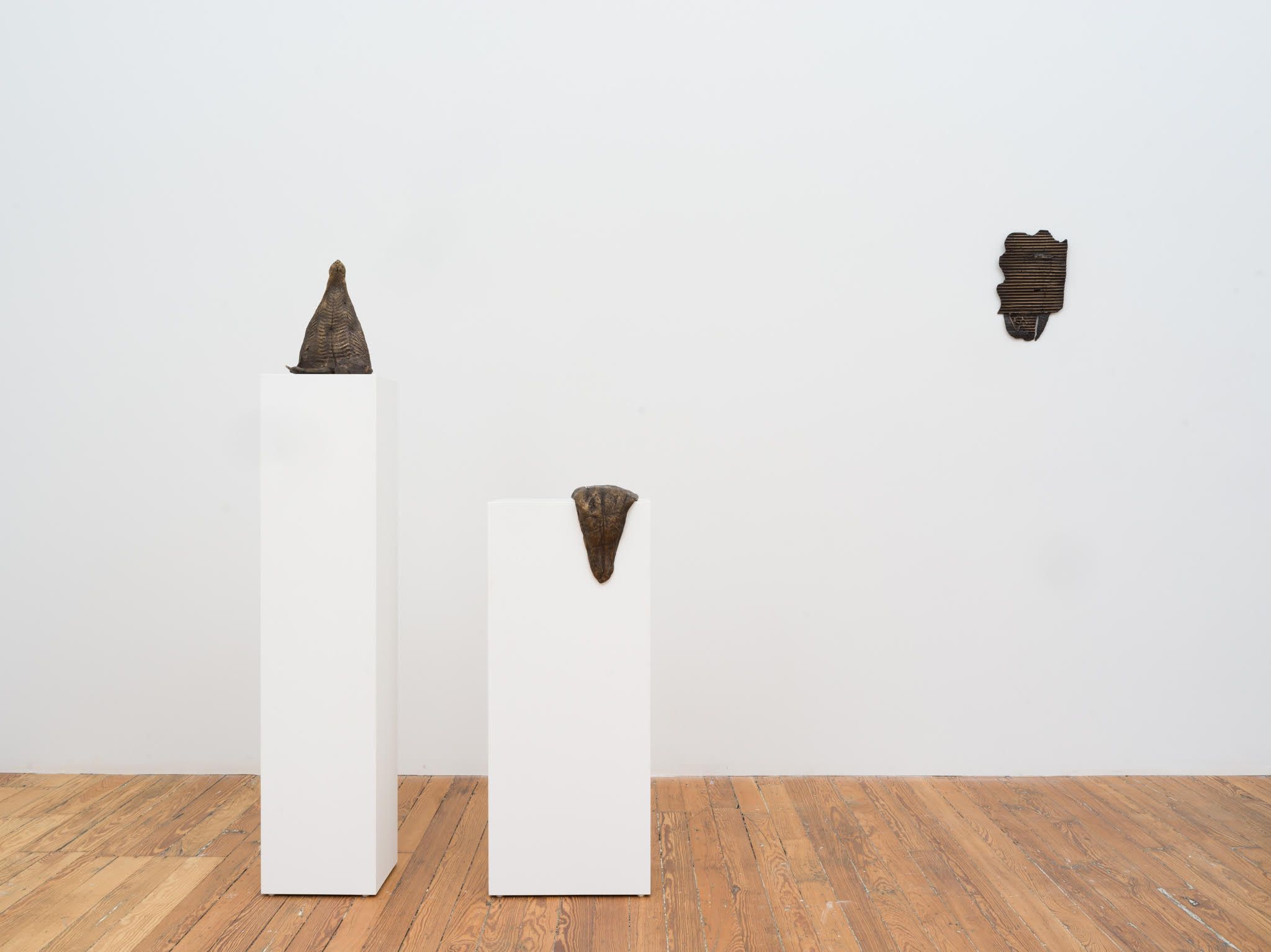Ara Dymond, image 2 of 4