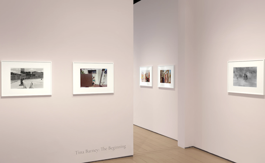 Tina Barney, The Beginning at Kasmin, photo 6