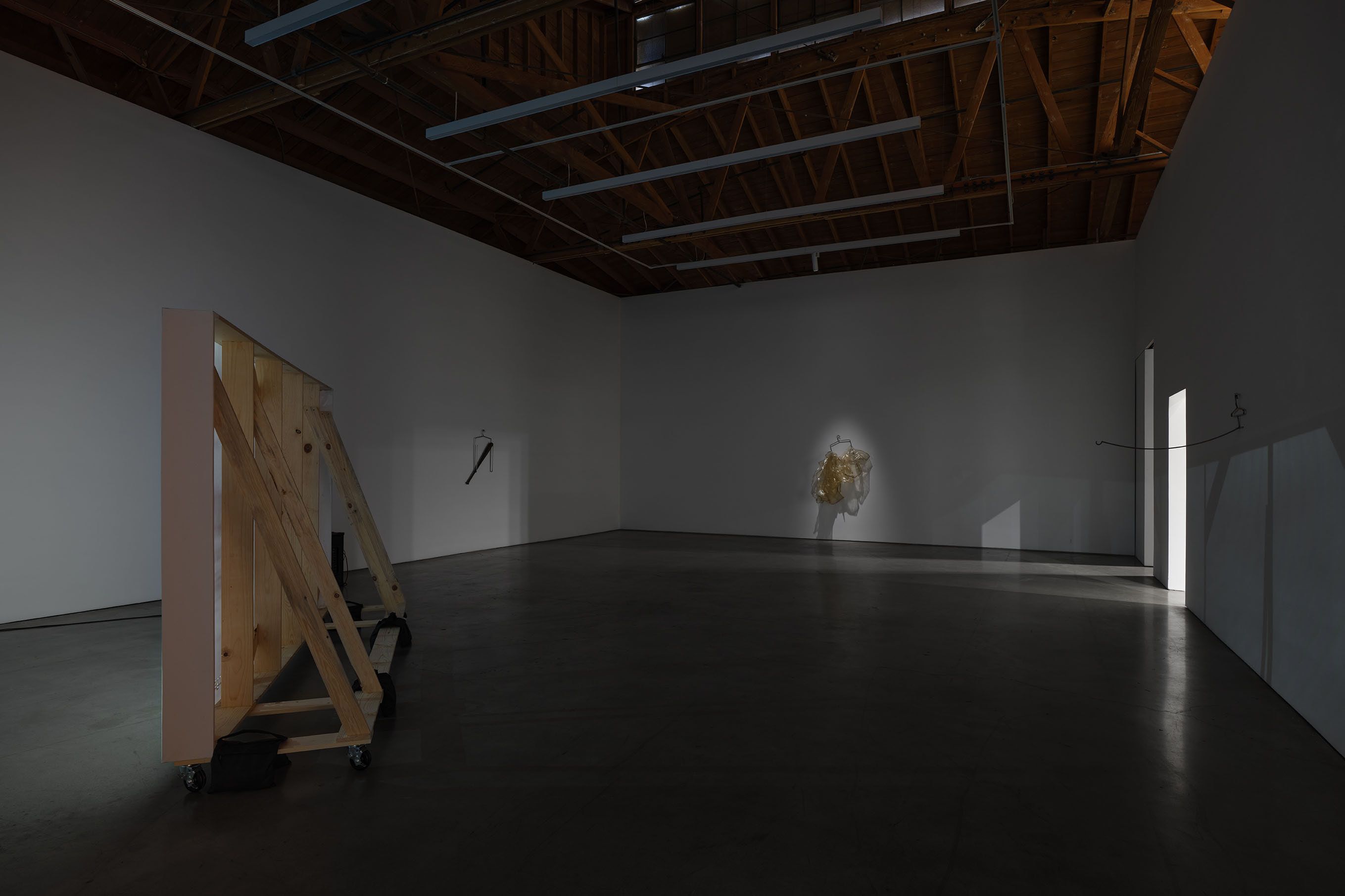 Salim Green, Taileater at François Ghebaly, photo 4