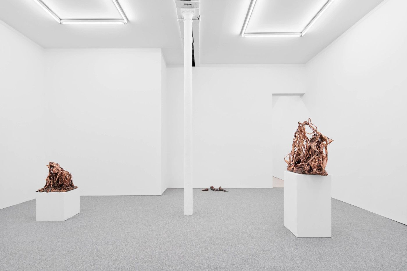 Max Hooper Schneider, Damaged by Miracles at High Art, photo 8
