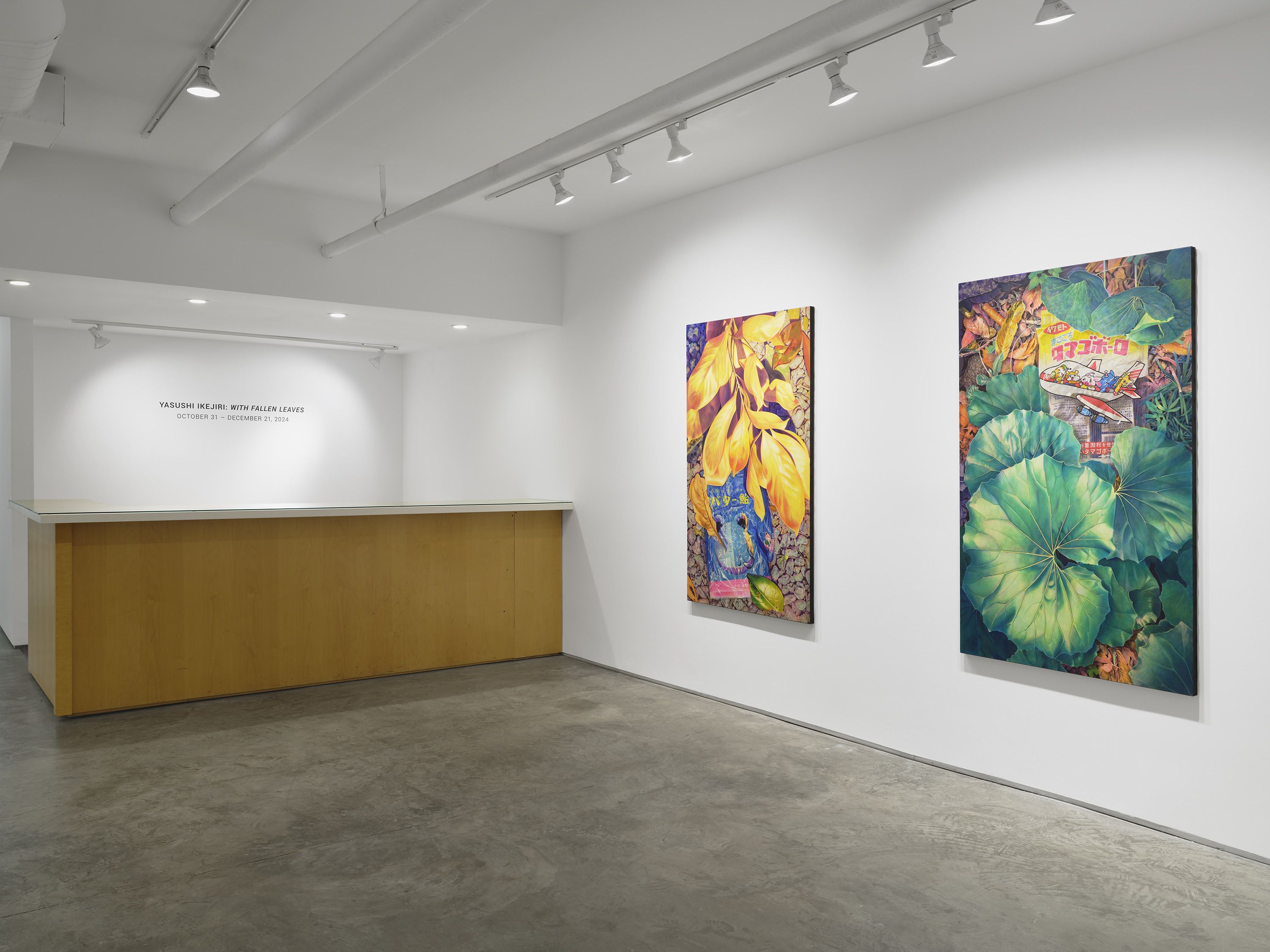 Yasushi Ikejiri, With Fallen Leaves at Seizan Gallery, photo 2