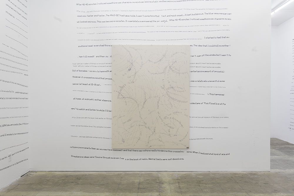Jason Matthew Lee, Entropy at Eli Ping Frances Perkins, photo 4