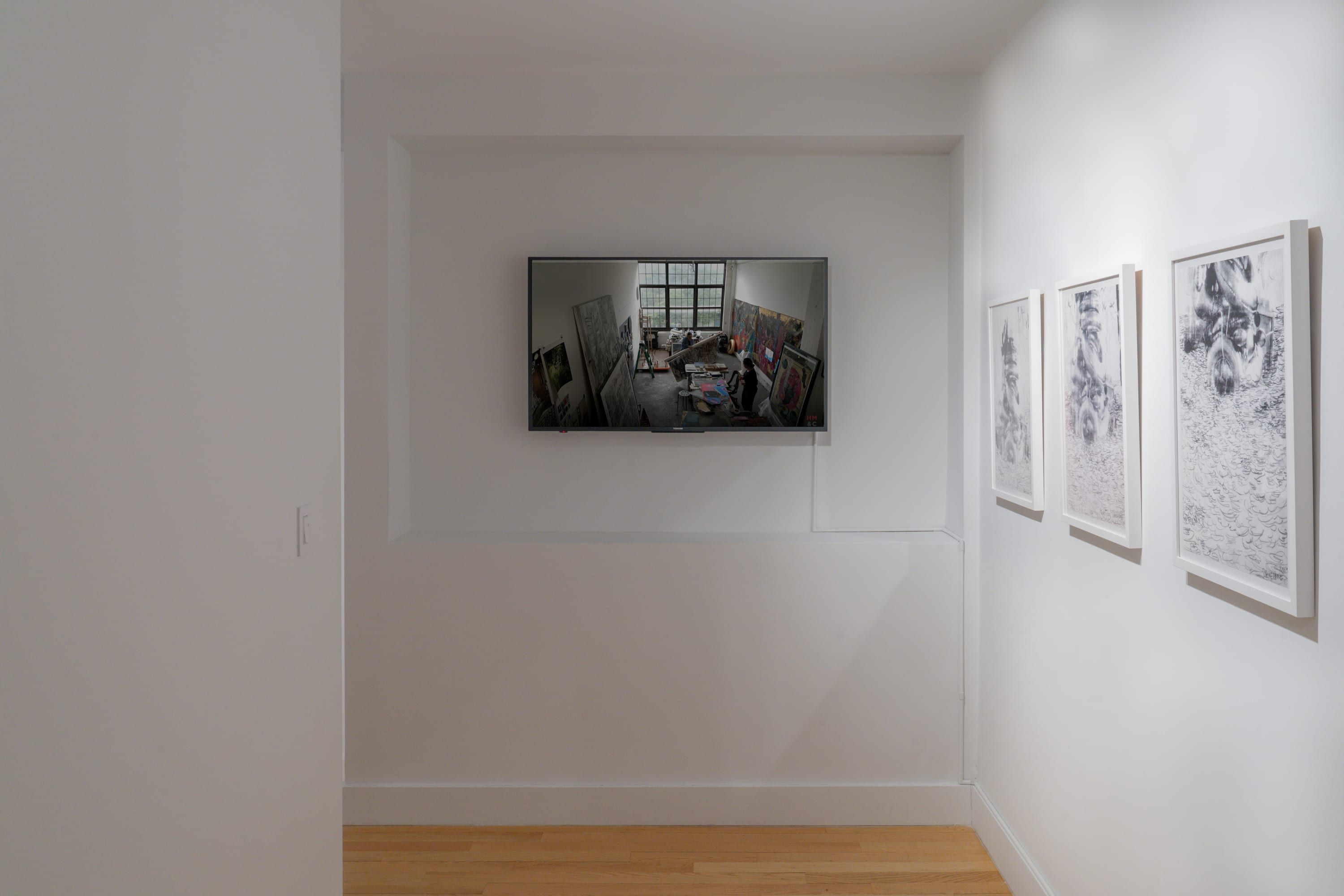 Iliana Emilia García & Scherezade García, Landed at Hutchinson Modern & Contemporary, photo 7