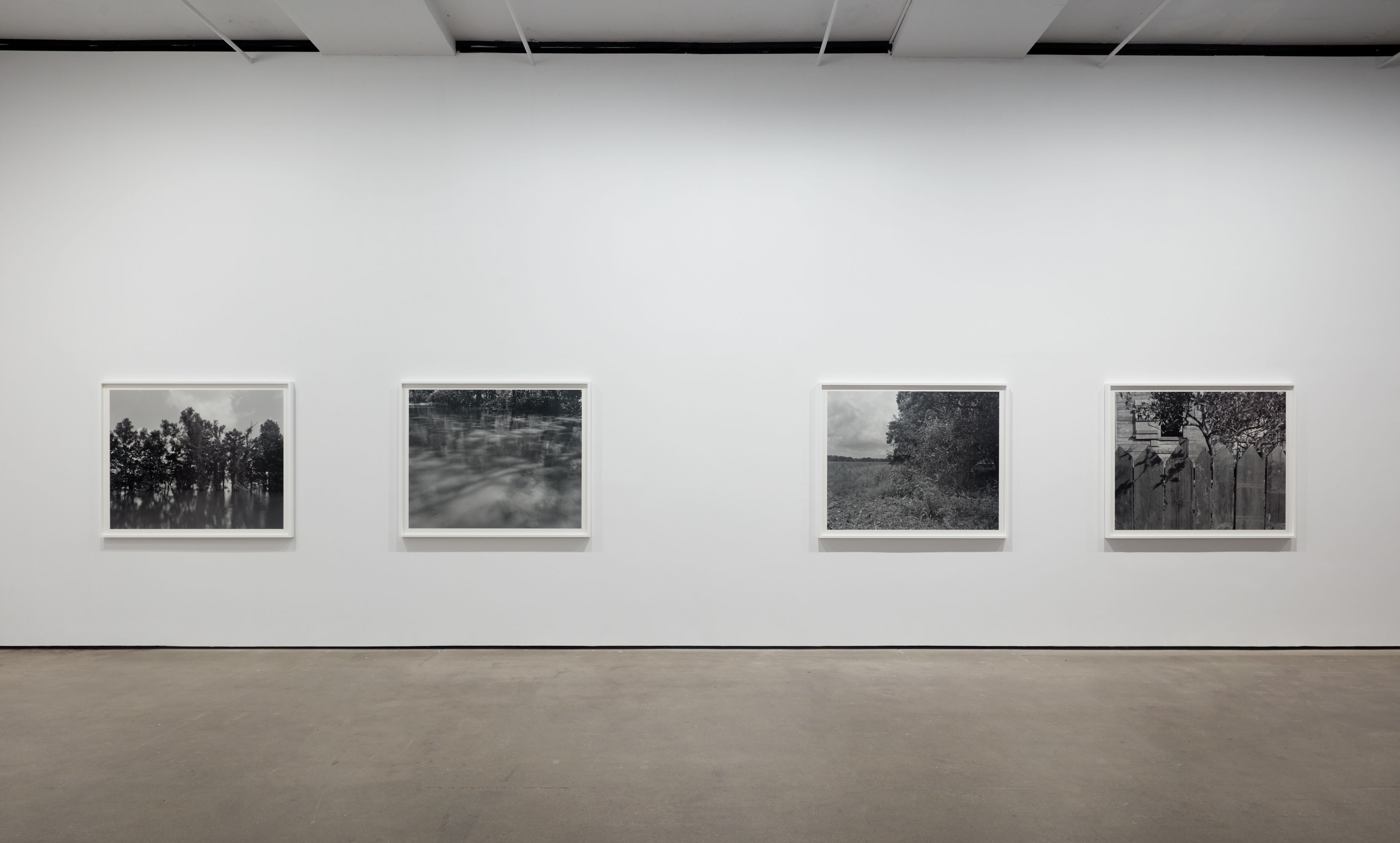Installation view 8