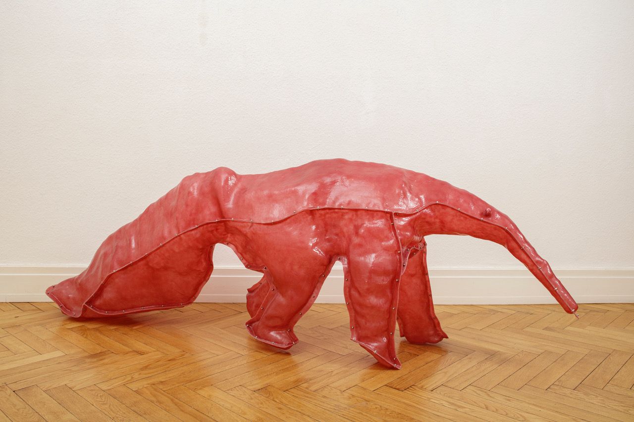 Denis Savary, Flower of Fog at Gnyp, photo 4