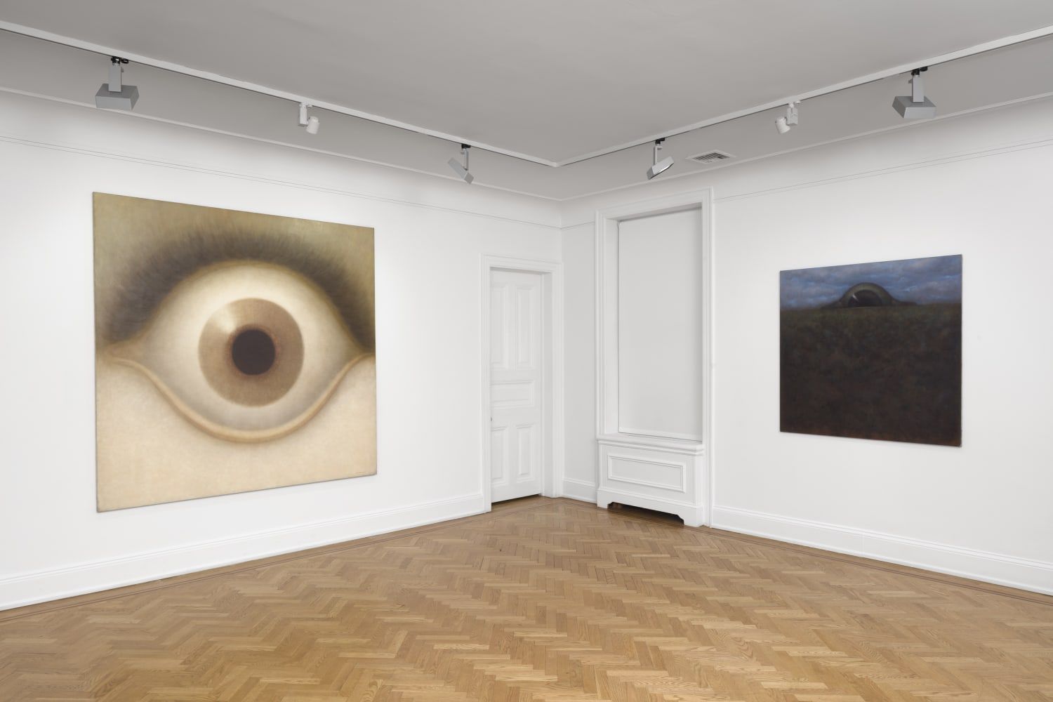 Rodolfo Abularach, A Cosmic Vision at David Nolan, photo 2