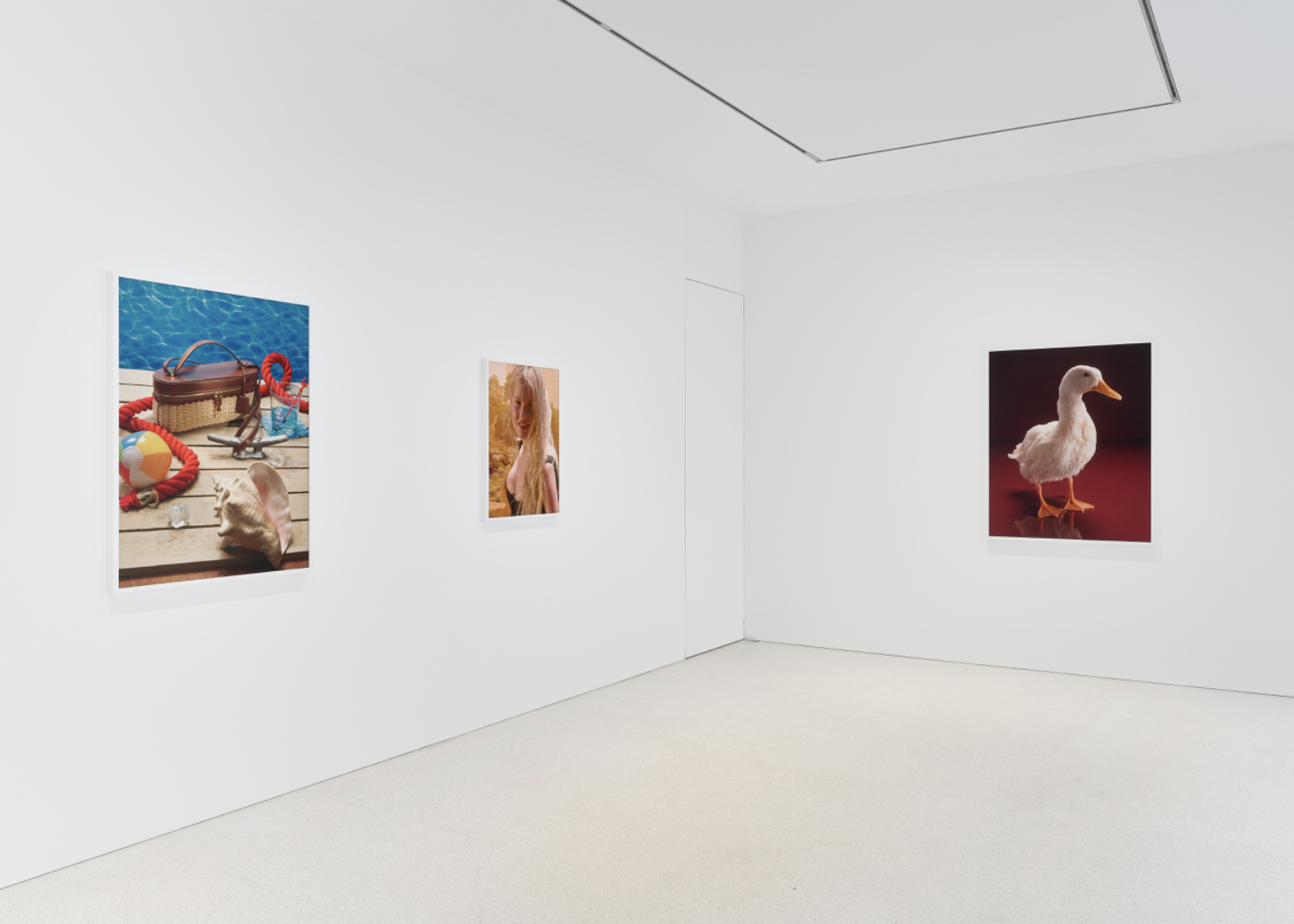 Roe Ethridge, Happy Birthday Louise Parker II at Gagosian, photo 5