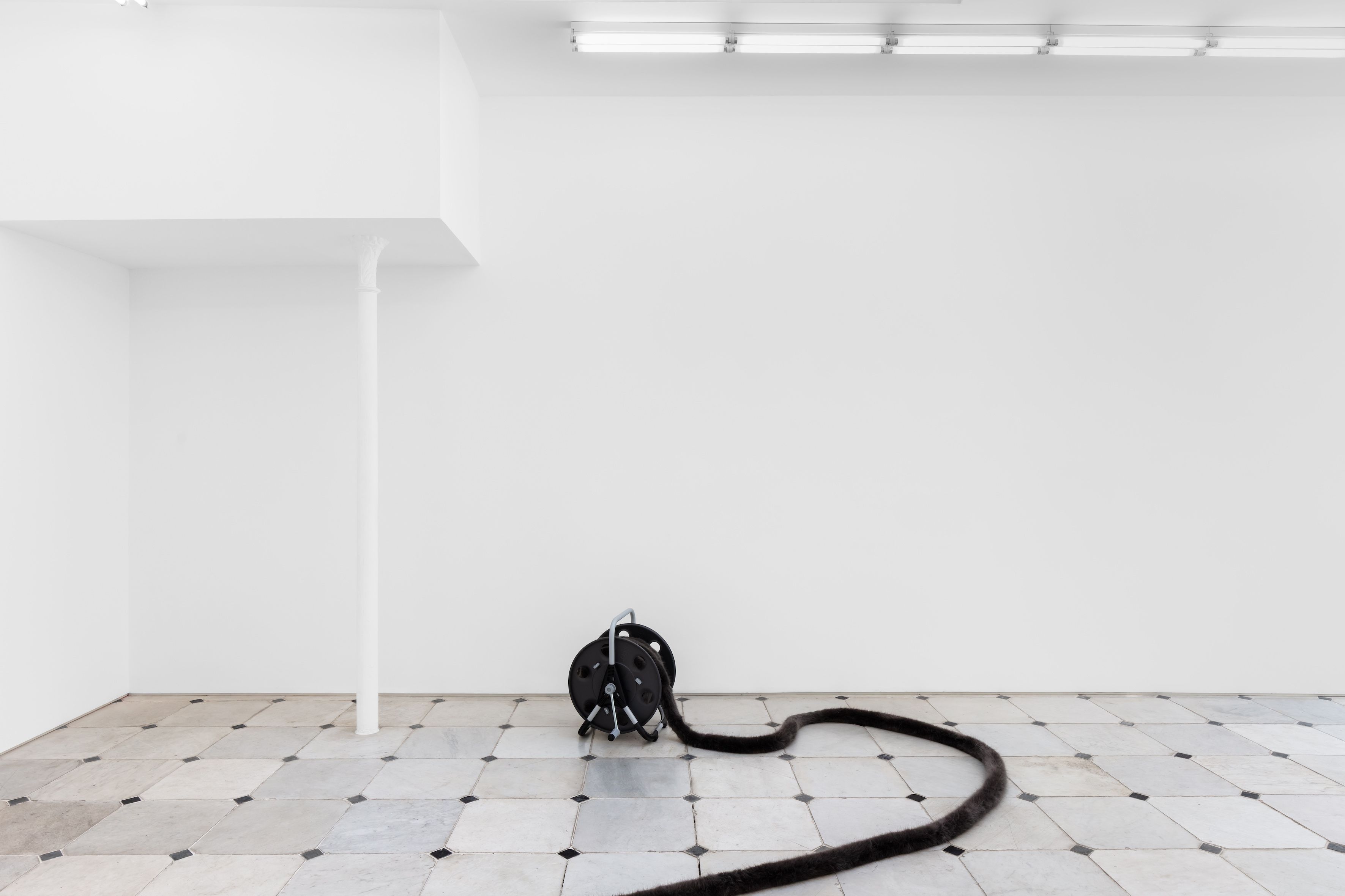 Nicole Wermers, image 7 of 8