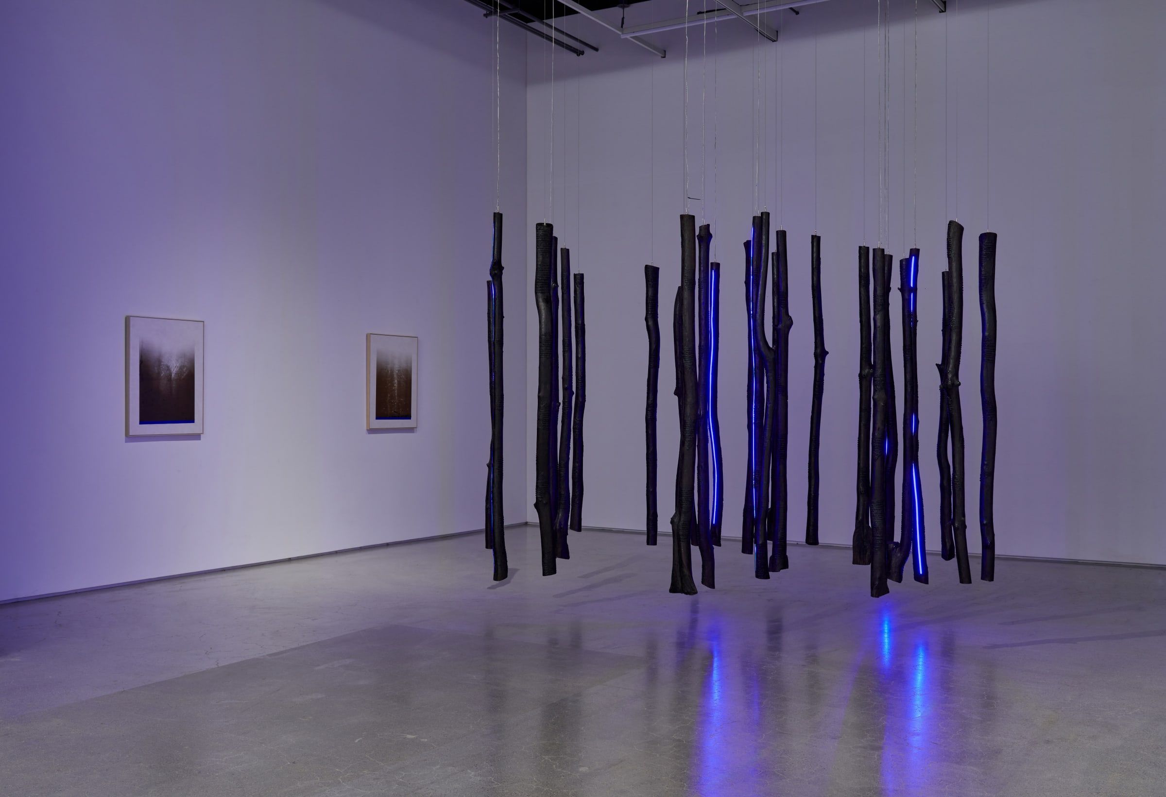 Echoes of Gaia, Echoes of Gaia at The Page Gallery, photo 3