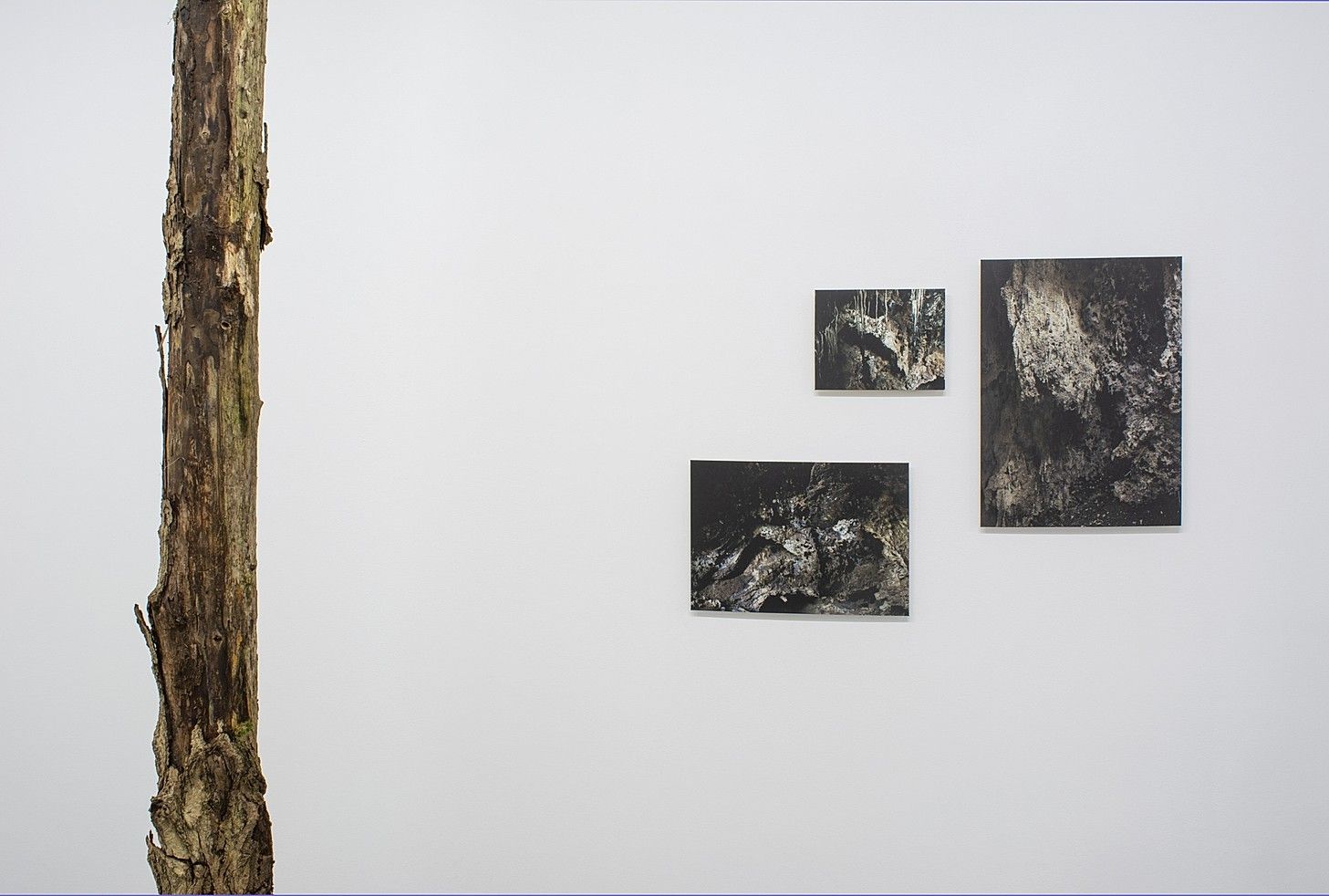 Cécile Beau, Hylé at 22,48 m², photo 4