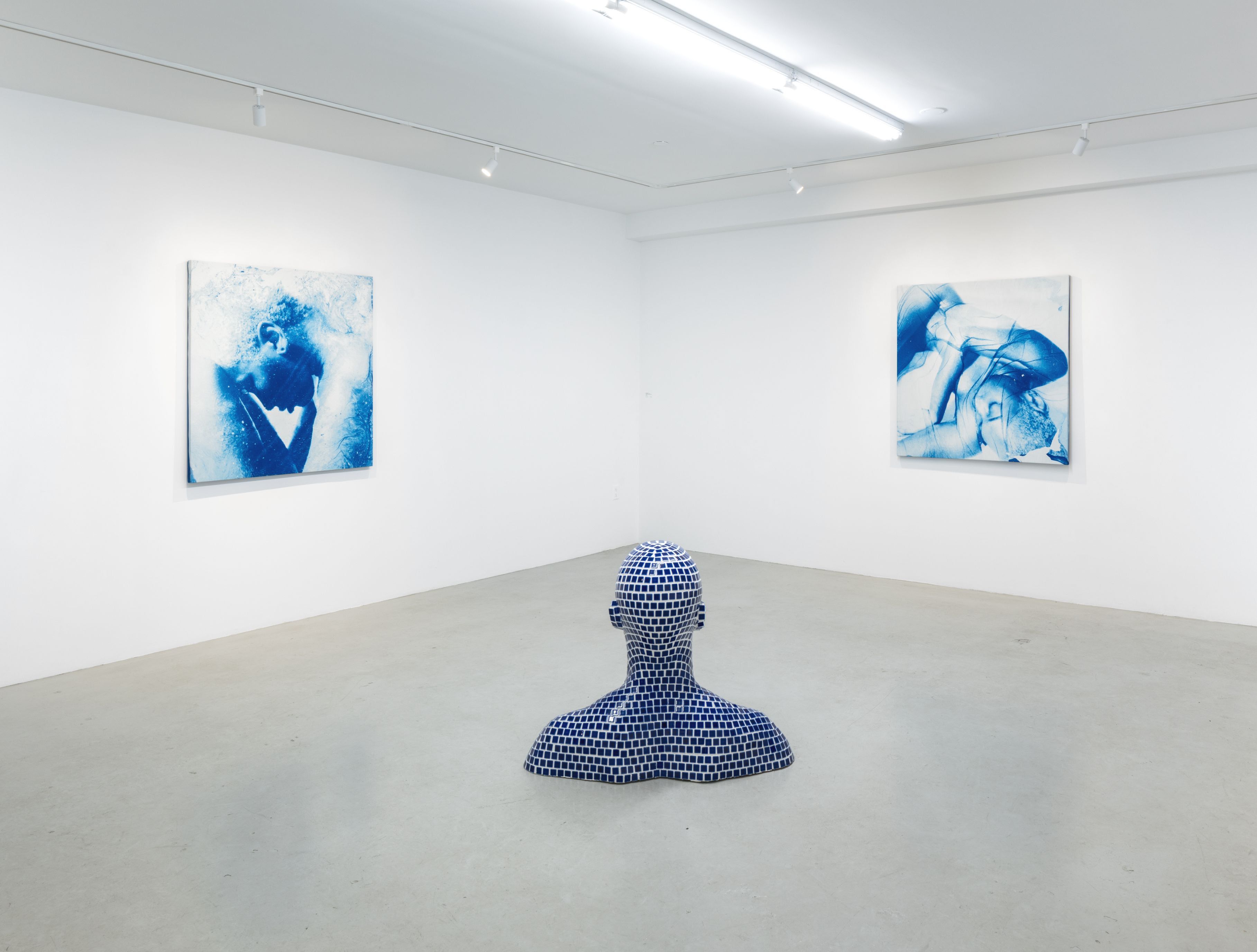 Diana Sinclair, Threaded Blue at Plato, photo 2